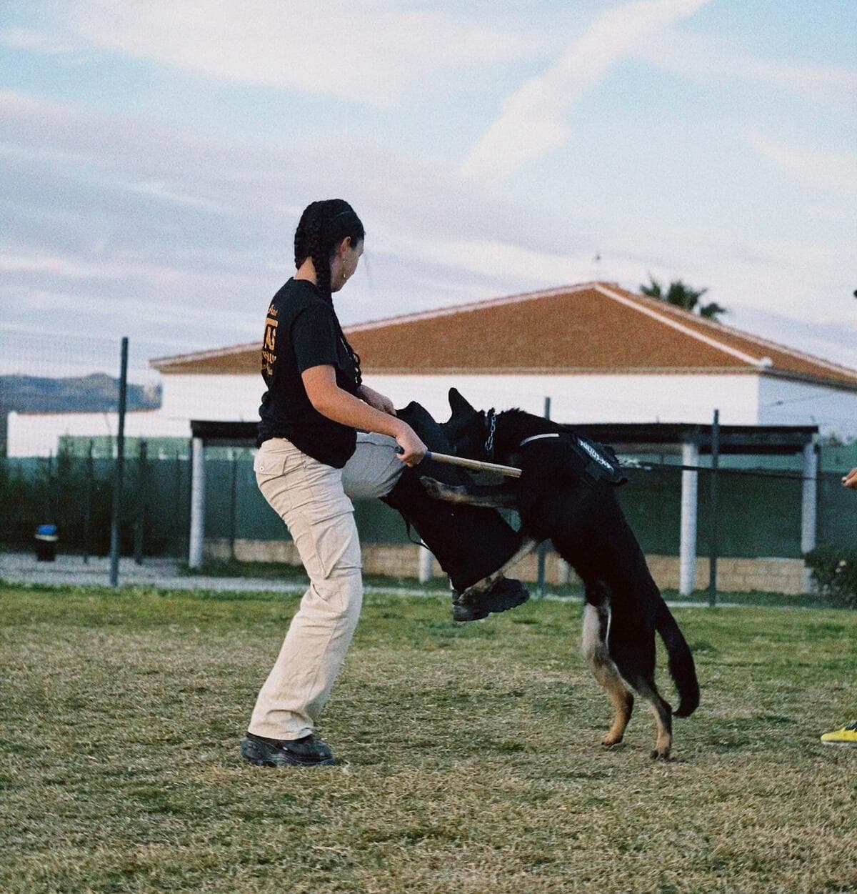 Entrenador trabajando con perro en Málaga - CRUZCAN